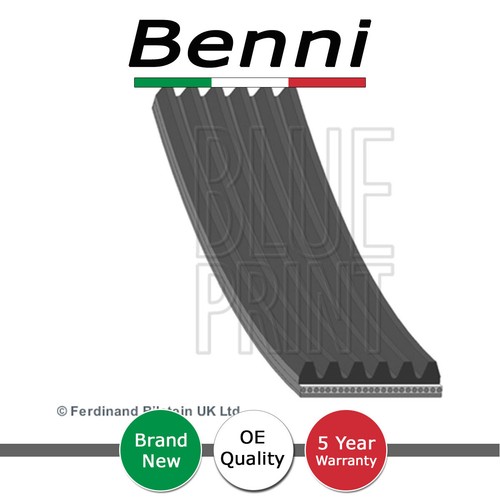 Cinghia alternatore benni - cinghia,