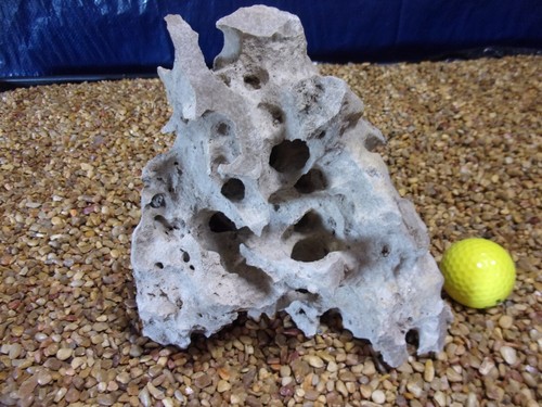 Texas holey rock - holey,