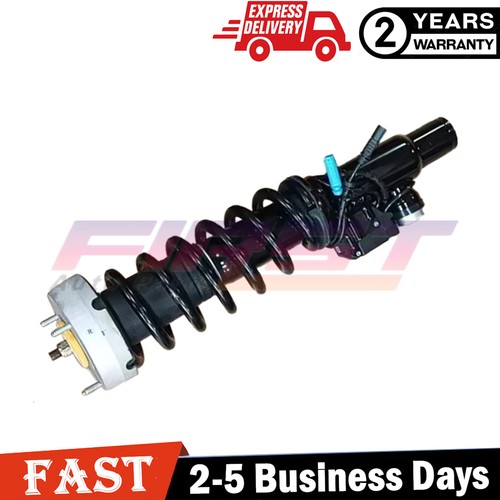 Assy puntone ammortizzatore