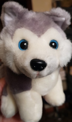 Husky peluche cucciolo puppy - peluche,