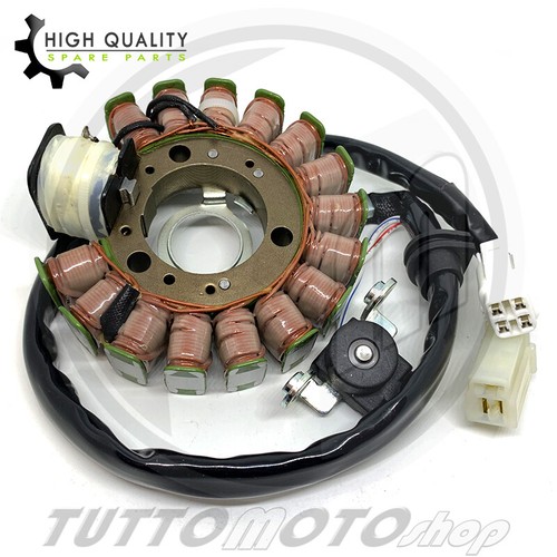 Statore magnete tipo - statore,