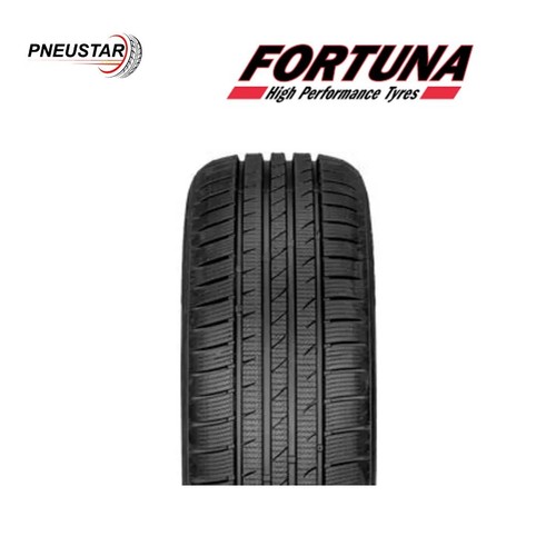 Fortuna van 205 - van, r16