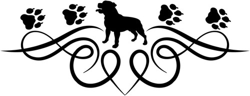 Staffordshire bullterrier - staffordshire,