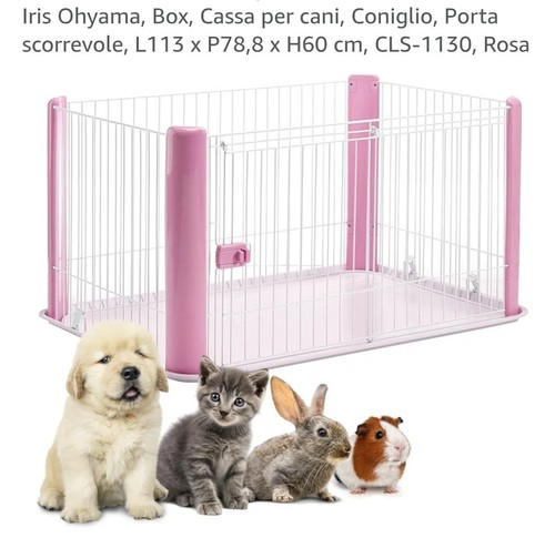 Box per cani - cani, interno