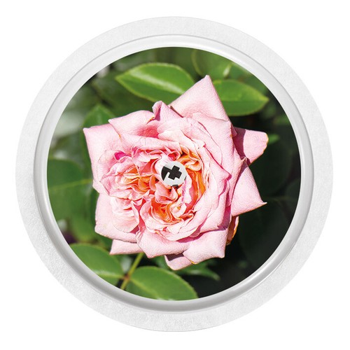 Adesivo sticker per - sticker,