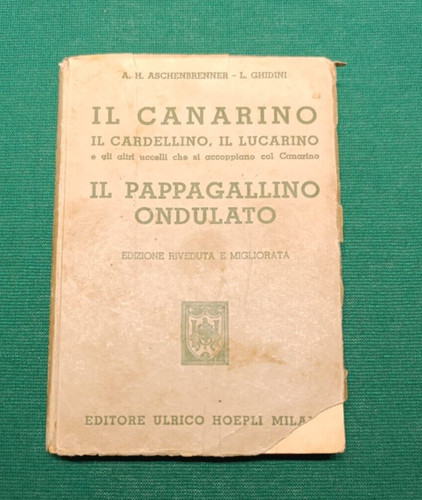 Canarino cardellino il - il,
