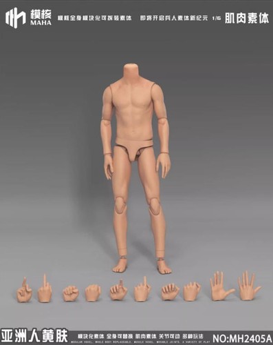 Maha studio 2405a corpo - 2405a, 1/6