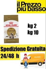 Maine Coon adult Royal Canin kg 2,kg 10 croccantini mantenimento per maine coon 