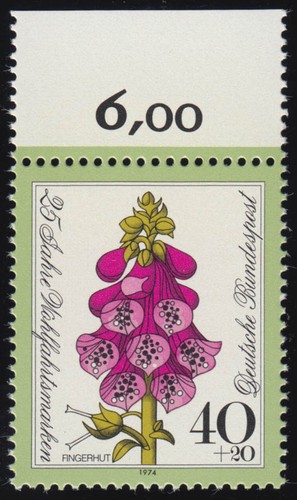 819 fiori benessere pf - fiori, 40+20