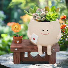 Vaso Smiley, Piante Grasse