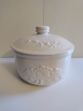 Mulino Bianco BISCOTTIERA 1990 porcellana ceramica da collezione