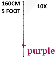 10 x 5 piedi (160 cm)
