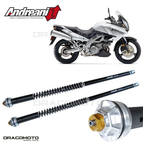 Suzuki 1000 strom - suzuki, dl