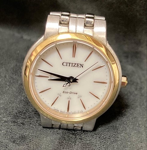 Condizioni citizen eco drive - eco,
