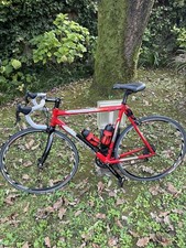 bici da corsa  Angliru pinnarello da donna