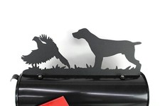 Puntatore tedesco a pelo corto