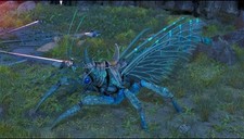 Ark ascended official pvp 1x