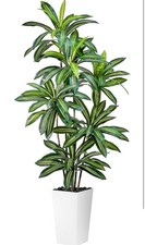 Pianta di Dracaena Artificiale