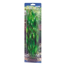 Vallisneria 34cm Pianta da