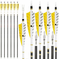 Freccia in carbonio puro 31"