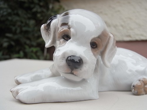 Rosenthal dolce terrier - ",