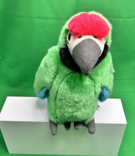 Peluche national geographic - national,