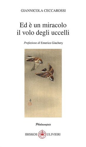 Miracolo il volo - un,