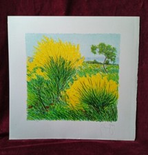 Azzinari Franco Litografia