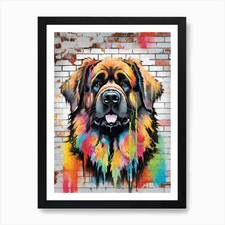 Estetica Leonberger cane