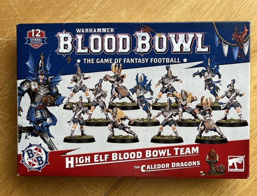 Squadra blood bowl - blood, elfo