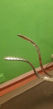 RA Di LUMINA Lamp