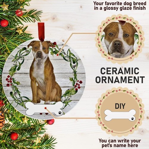 Pets pit bull ceramic - e&s,