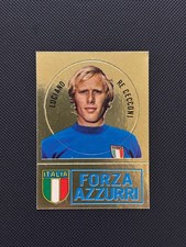 FIGURINE CALCIATORI PANINI