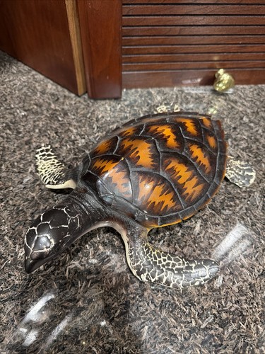 New sea turtle - new, sculpture