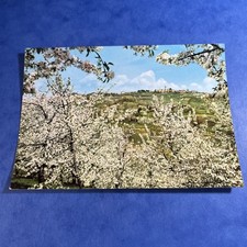  CARTOLINA COLORI COLLEZIONE
