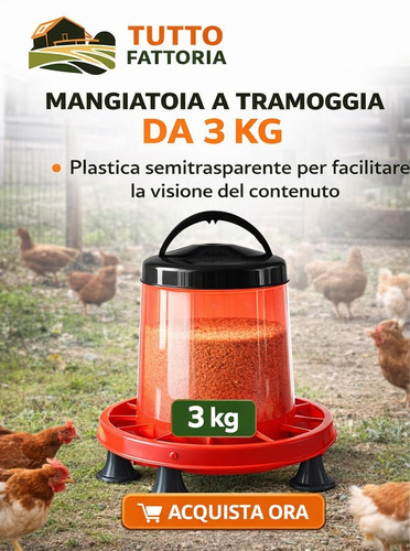 Mangiatoia tramogia - mangiatoia, a