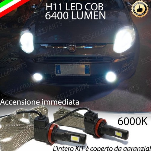 Coppia lampade h11 - led, canbus