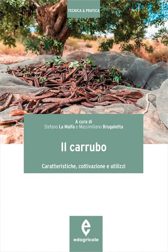 Carrubo caratteristiche - il, carrubo.