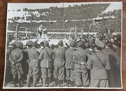Sport pugilato bari stadio - sport,