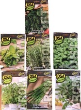 SEMI SEMENTI MENTA ORIGANO