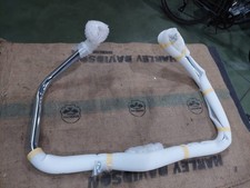 Paramotore Harley Davidson per