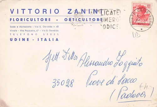 65c testatina udine - 25-65c),