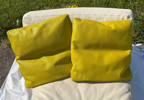 Leolux pupilla pelle colore - pelle,
