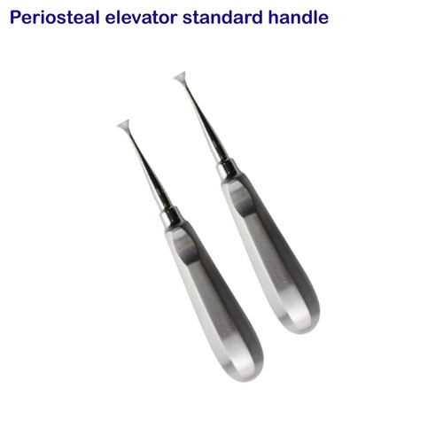 Veterinario roditore periostio - veterinario,