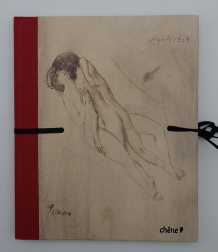 Pablo picasso carnets - picasso,