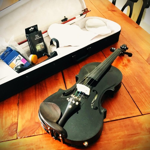 Violino elettrico acustico 4/4
