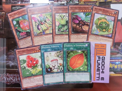 Lotto carte naturia in - 8,
