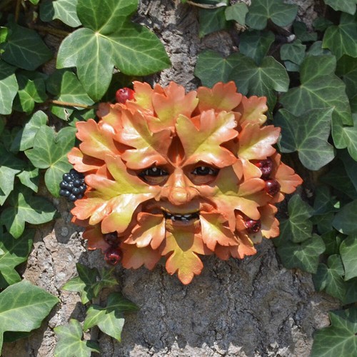 Parete giardino biancospino - giardino,