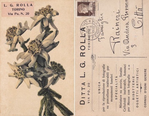 Torino ditta grolla - -,