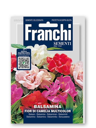 Semi balsamina fior - di,